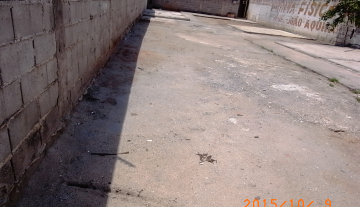 M0250 5.JPG